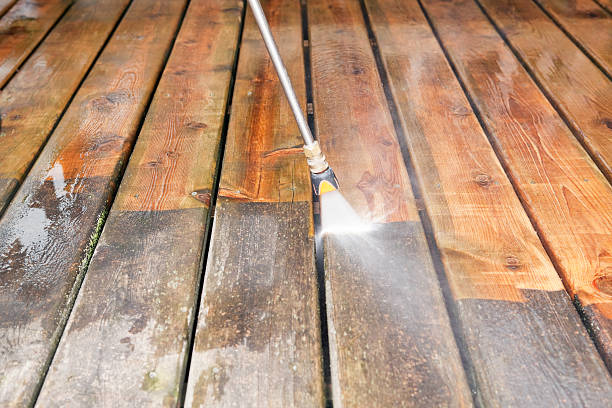 Best Driveway Pressure Washing  in Fate, TX